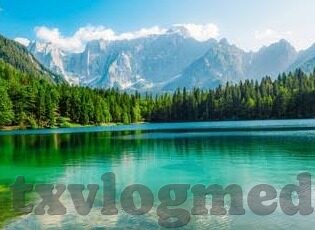 在线成人手机视频-探索在线成人手机视频，现代生活的一把双刃剑